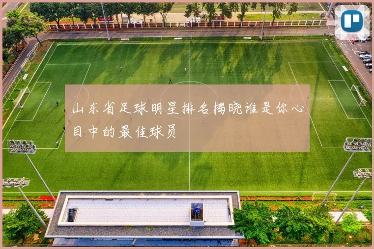 山东省足球明星排名揭晓谁是你心目中的最佳球员