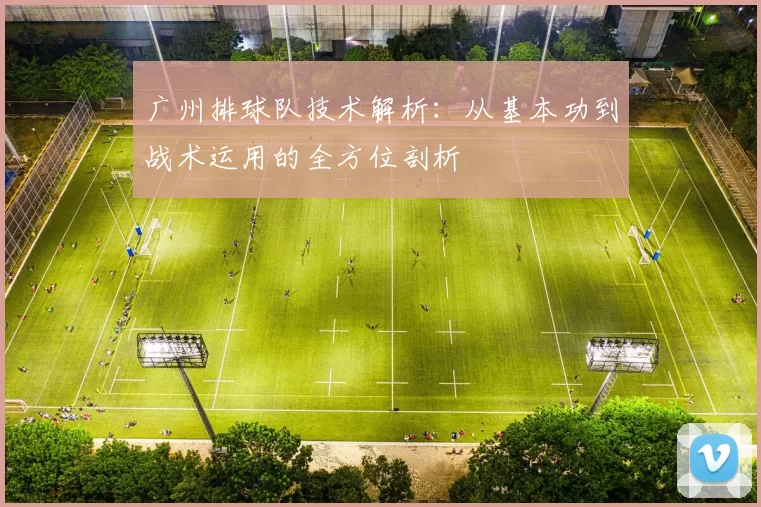 广州排球队技术解析：从基本功到战术运用的全方位剖析