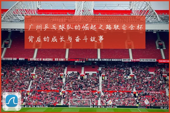 广州乒乓球队的崛起之路联合会杯背后的成长与奋斗故事