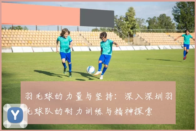 羽毛球的力量与坚持：深入深圳羽毛球队的耐力训练与精神探索