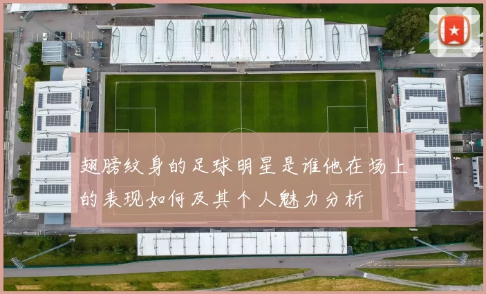 翅膀纹身的足球明星是谁他在场上的表现如何及其个人魅力分析