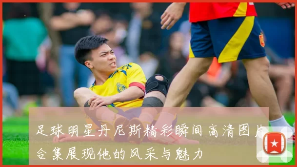 足球明星丹尼斯精彩瞬间高清图片合集展现他的风采与魅力