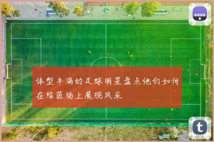 体型丰满的足球明星盘点他们如何在绿茵场上展现风采