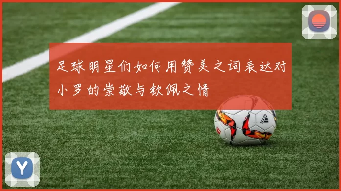 足球明星们如何用赞美之词表达对小罗的崇敬与钦佩之情