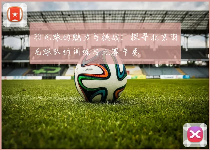 羽毛球的魅力与挑战：探寻北京羽毛球队的训练与比赛节奏
