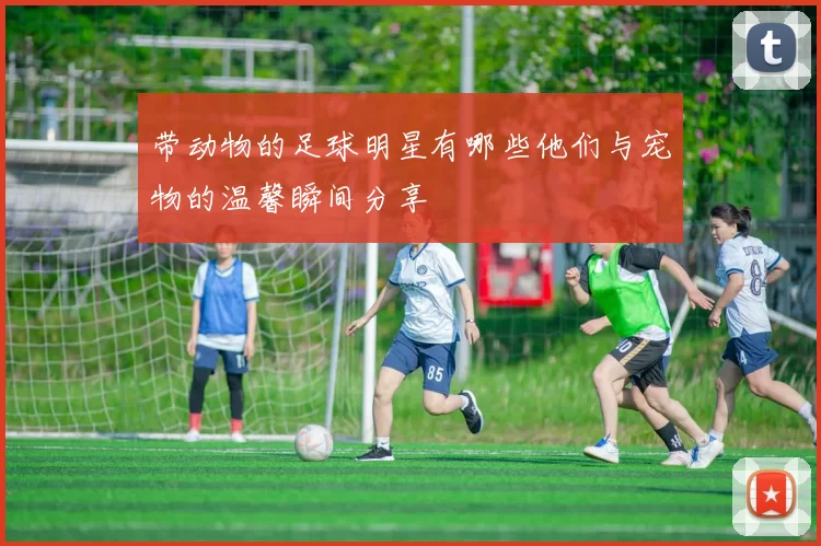 带动物的足球明星有哪些他们与宠物的温馨瞬间分享